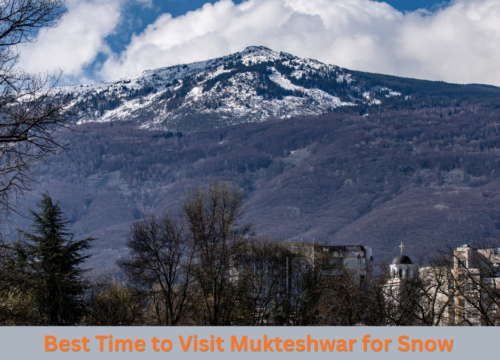 Best Time to Visit Mukteshwar for Snow, Views & a Peaceful Stay